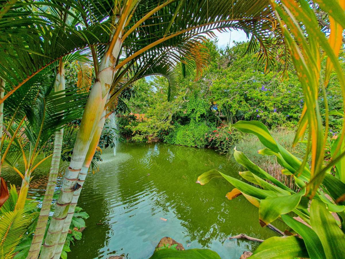 Hotel Terra Barichara Villanueva  Ngoại thất bức ảnh